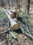 img-20250415-wa0002.jpg