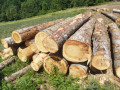 img-20250624-wa0014.jpg