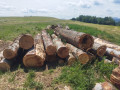 img-20250624-wa0015.jpg