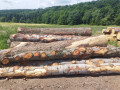 img-20250624-wa0016.jpg