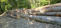 img-20250625-wa0001.jpg