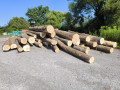 img-20250730-wa0005.jpg