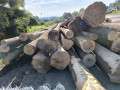 img-20250730-wa0006.jpg