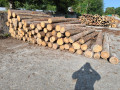 img-20250730-wa0014.jpg