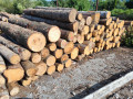 img-20250730-wa0015.jpg