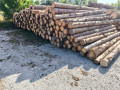 img-20250730-wa0019.jpg