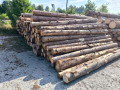 img-20250730-wa0020.jpg