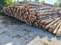 img-20250730-wa0021.jpg
