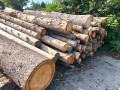 img-20250730-wa0022.jpg
