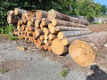 img-20250730-wa0024.jpg