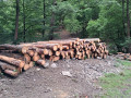 img-20260611-wa0013.jpg