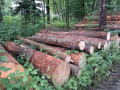 img-20260611-wa0020.jpg