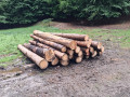img-20260611-wa0014.jpg