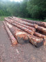 img-20260708-wa0003.jpg