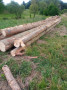 img-20260709-wa0003.jpg