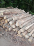 img-20260710-wa0008.jpg