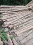 img-20260710-wa0013.jpg