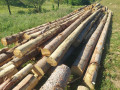 img-20260721-wa0015.jpg