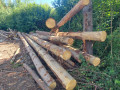 img-20260721-wa0039.jpg